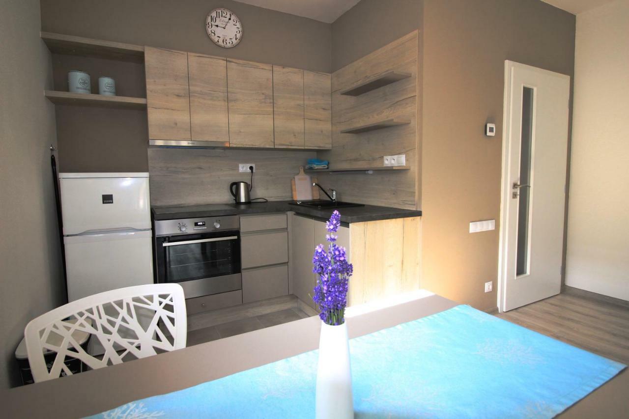 Apartament Apartman Lipno Korzo Lipno nad Vltavou Zewnętrze zdjęcie