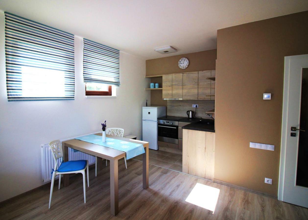 Apartament Apartman Lipno Korzo Lipno nad Vltavou Zewnętrze zdjęcie